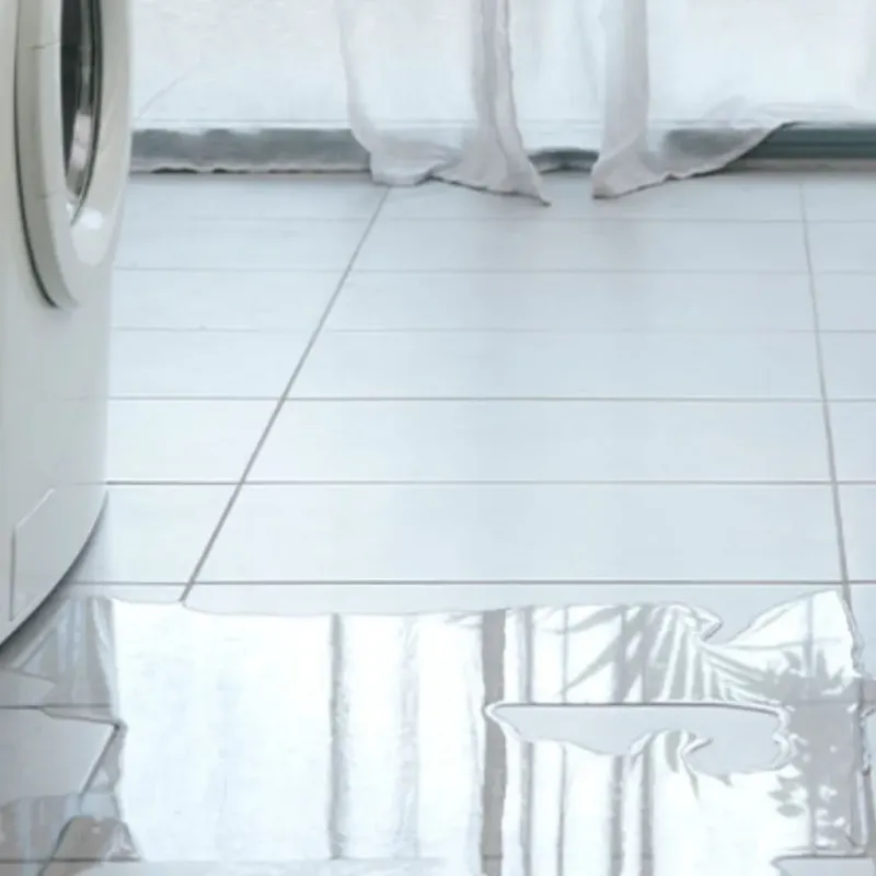 Appliance Leak Cleanup in Forney, TX