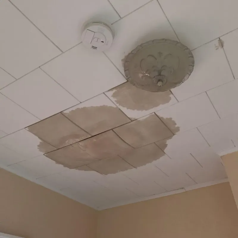 Ceiling Water Damage Repair in Forney, TX