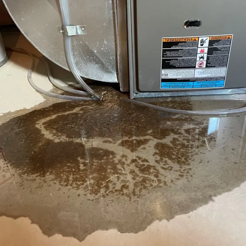 Pipe Burst and Leak Restoration in Forney, TX
